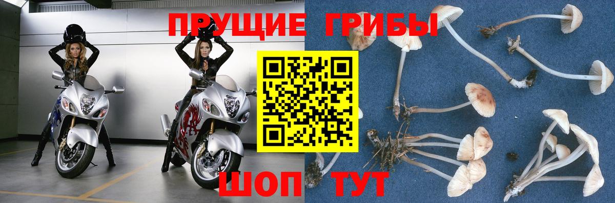 Галлюциногенные грибы GOLDEN TEACHER Арсеньев